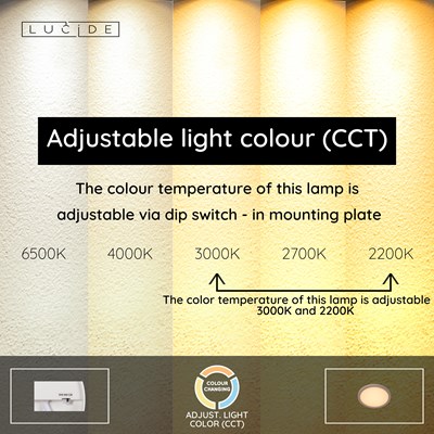 Lucide RINUS - Flush ceiling light Bathroom - Ø 19 cm - LED - CCT - 1x9,5W 2200K/3000K - IP44 - Opal - Essential